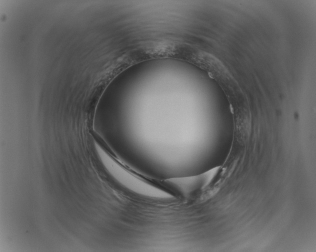 X0000073520416200608211809