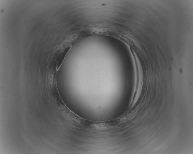 X0000073520417200608211809