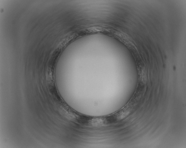 X0000073520418200608211809