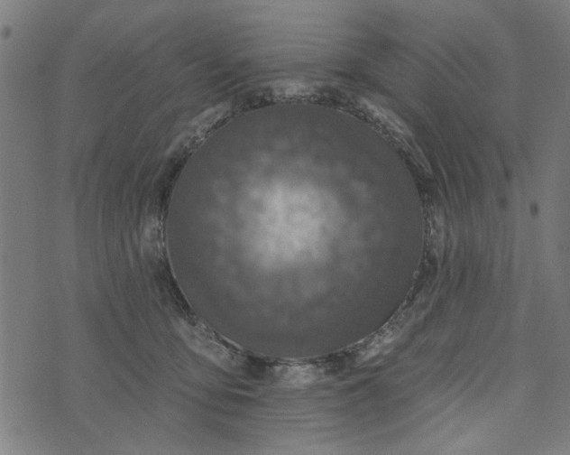 X0000073520419200608211809