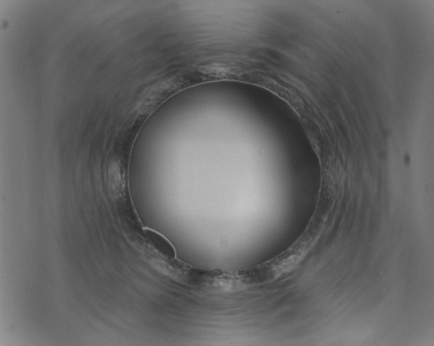 X0000073520420200608211809