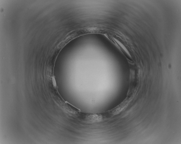 X0000073520421200608211809