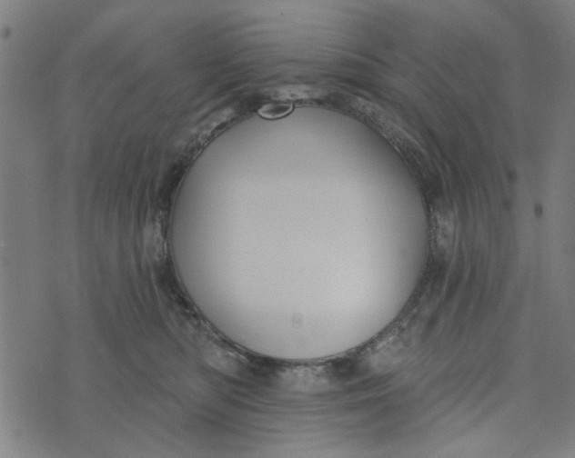 X0000073520422200608211809