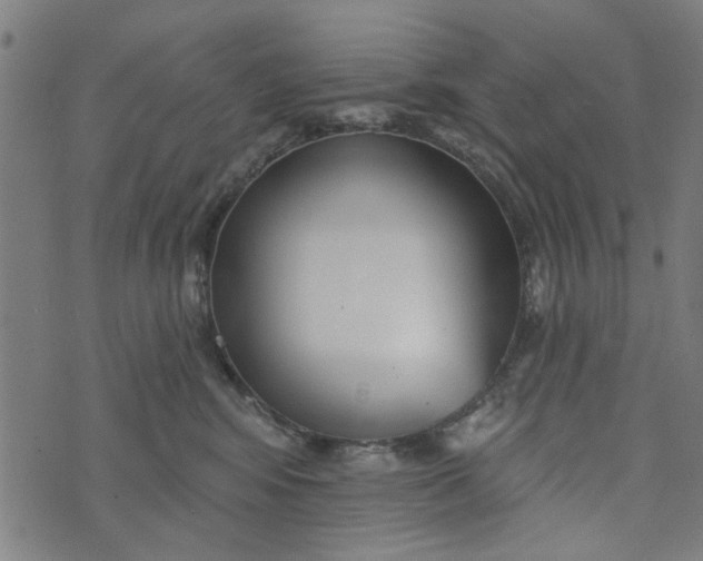 X0000073520424200608211809