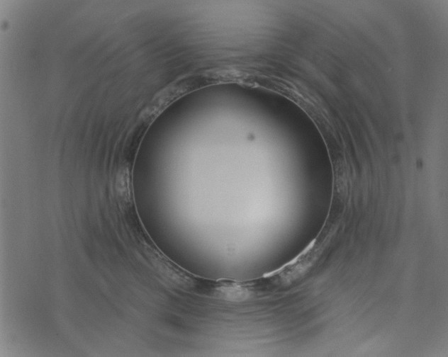 X0000073520425200608211809