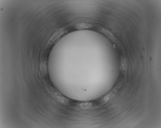 X0000073520426200608211809