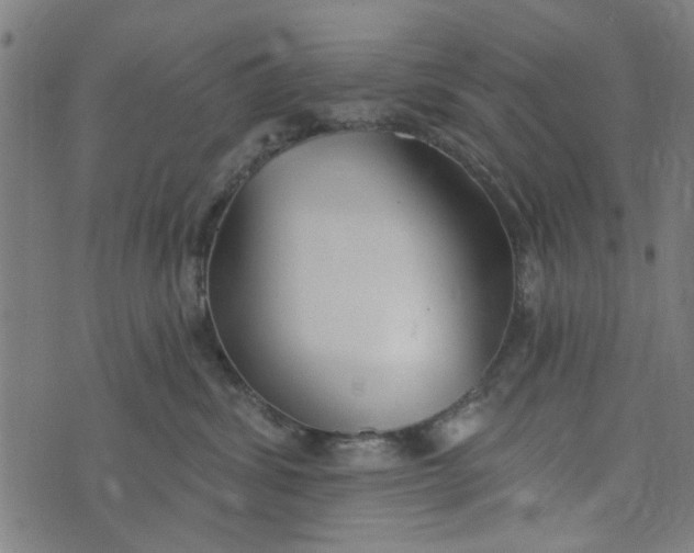 X0000073520428200608211809