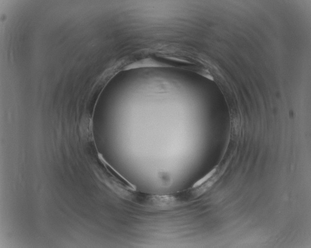 X0000073520429200608211809