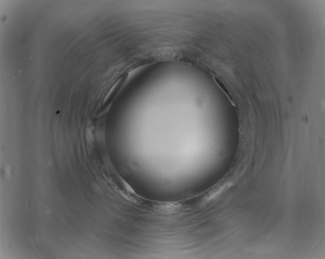 X0000073520432200608211809