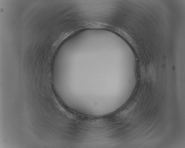 X0000073520433200608211808