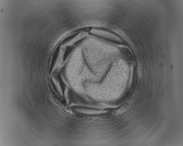 X0000073520434200608211808