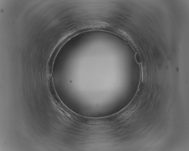 X0000073520435200608211808