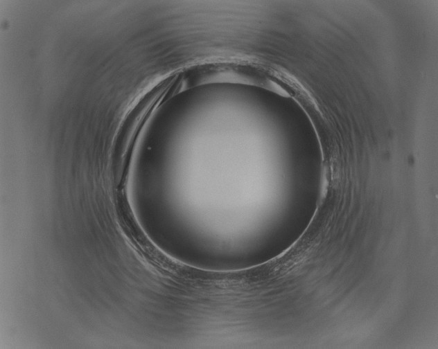 X0000073520436200608211808