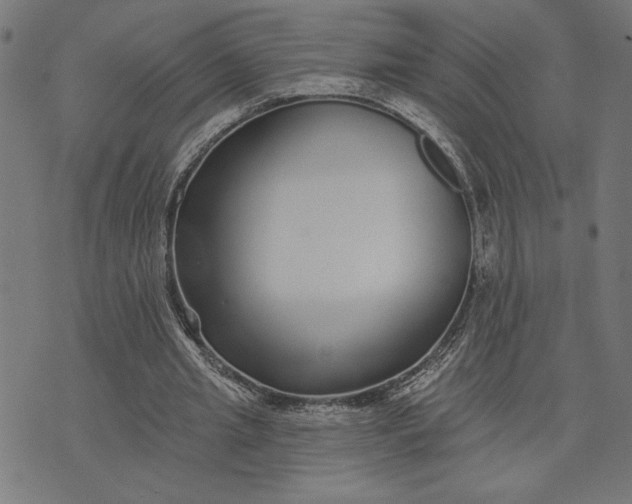 X0000073520437200608211808