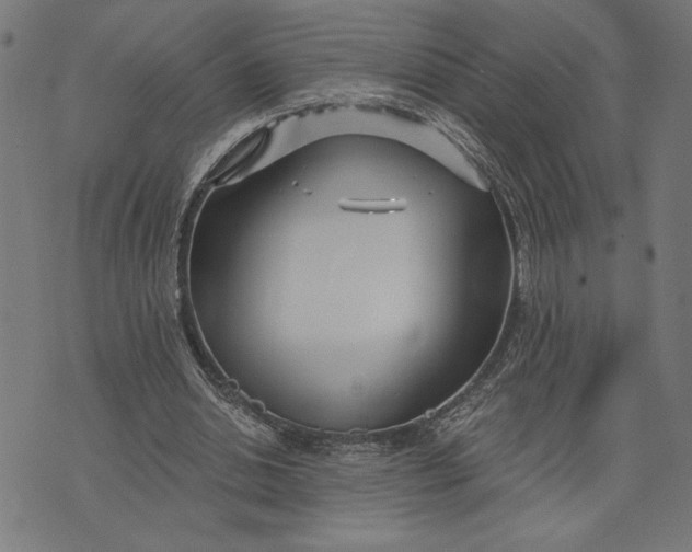 X0000073520438200608211808