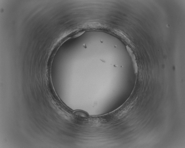 X0000073520439200608211808