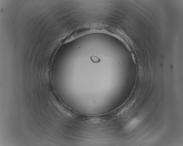 X0000073520441200608211809