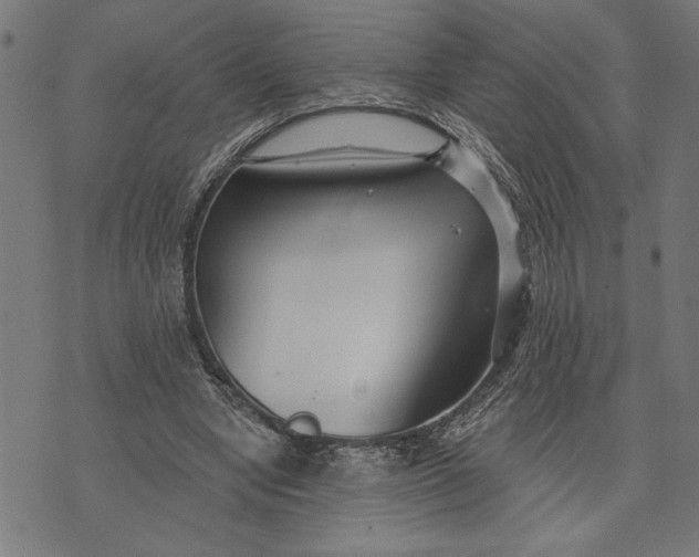 X0000073520442200608211809