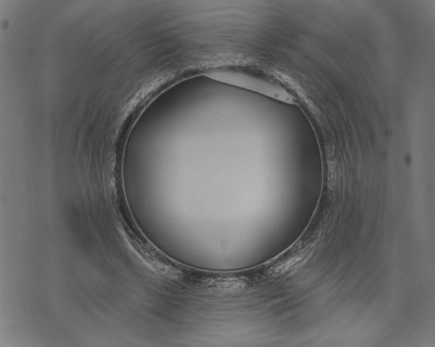 X0000073520443200608211809