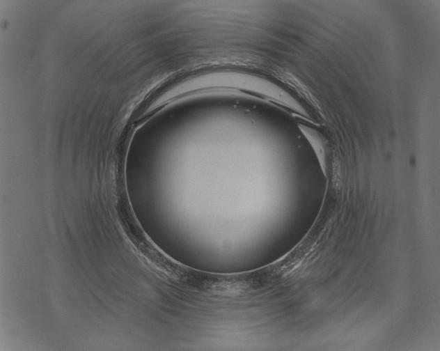 X0000073520444200608211809