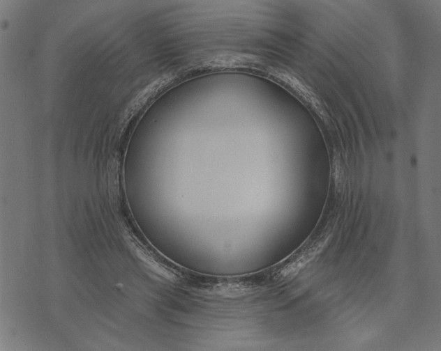 X0000073520445200608211809