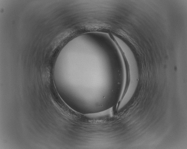 X0000073520448200608211809