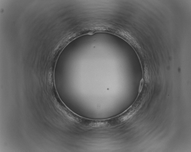 X0000073520449200608211809