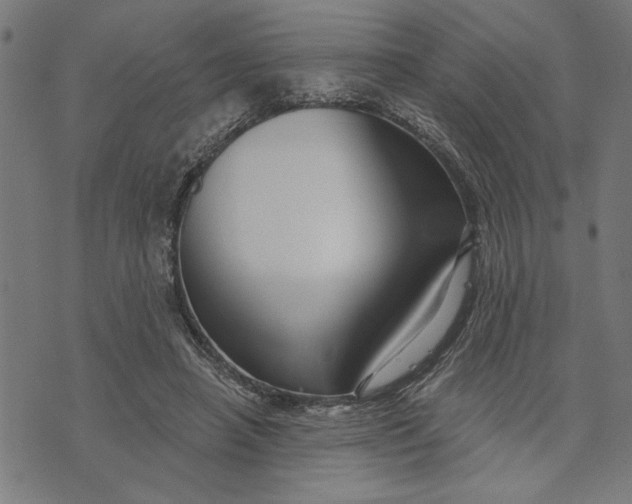 X0000073520450200608211809