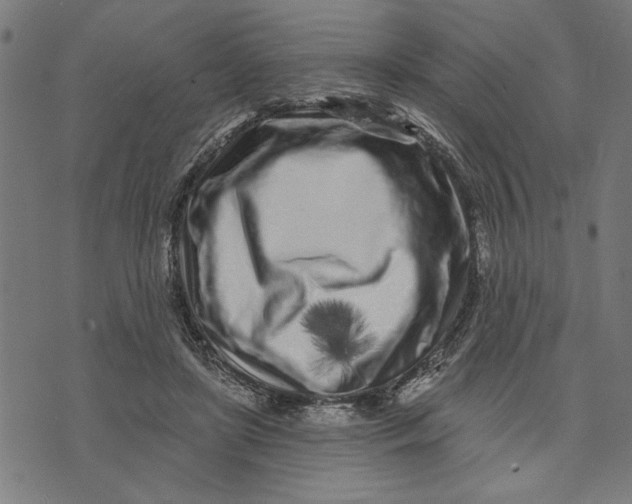 X0000073520451200608211809