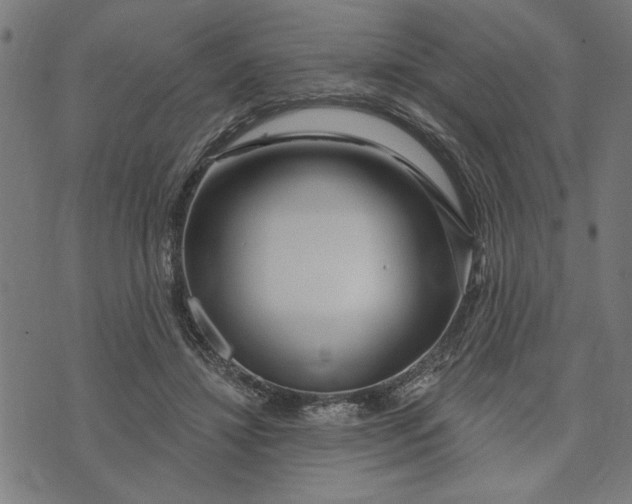 X0000073520452200608211809