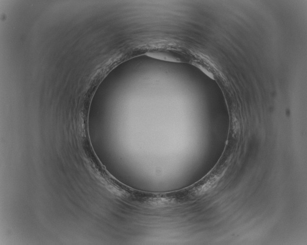 X0000073520453200608211809