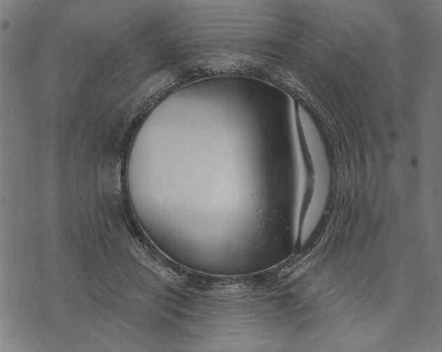 X0000073520454200608211809