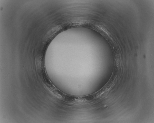 X0000073520455200608211809