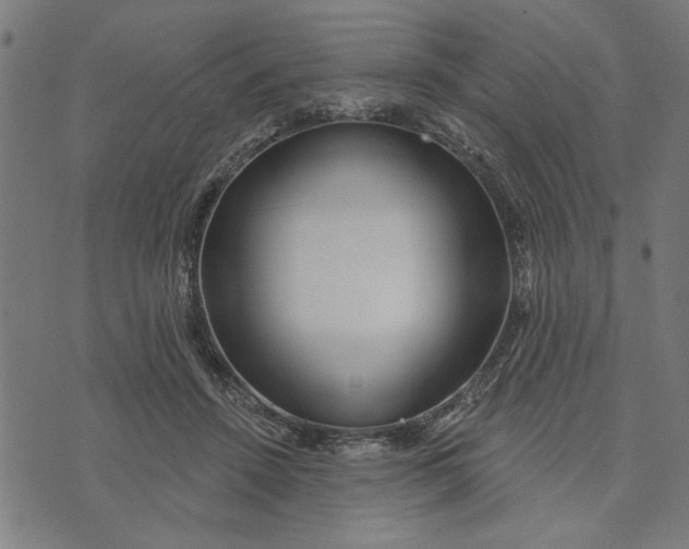 X0000073520456200608211809