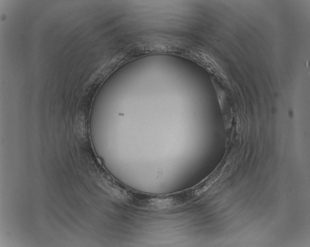 X0000073520457200608211809