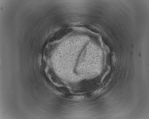 X0000073520458200608211809