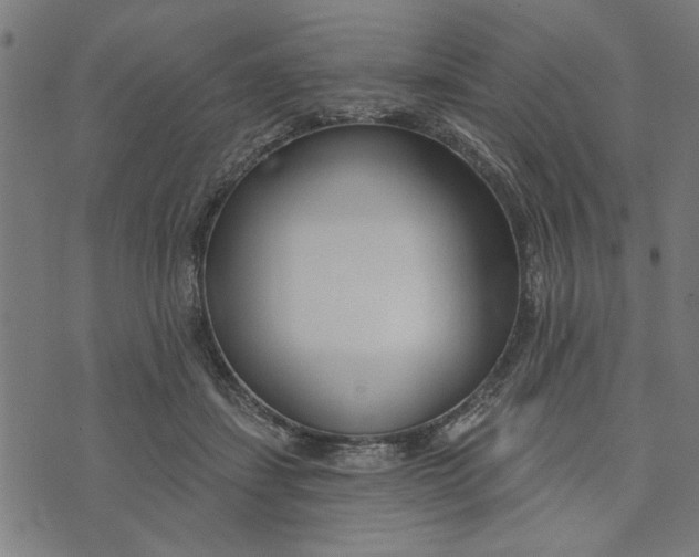 X0000073520459200608211809