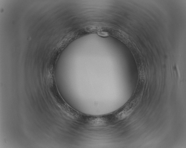 X0000073520460200608211809