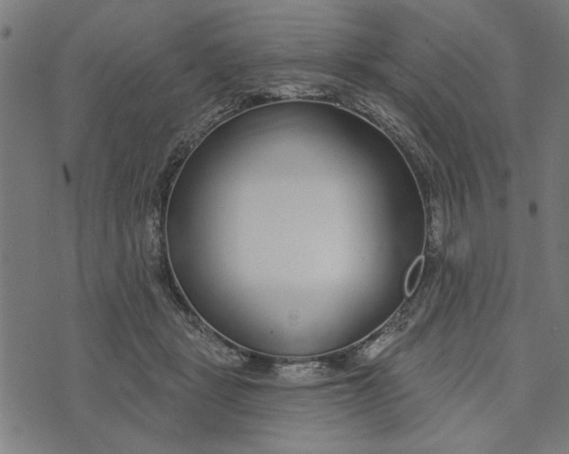 X0000073520461200608211809