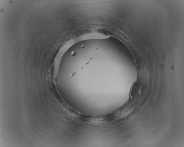 X0000073520462200608211809