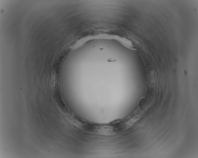 X0000073520463200608211809