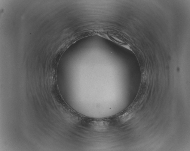 X0000073520464200608211809