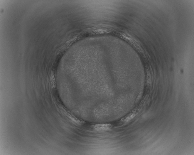 X0000073520465200608211809