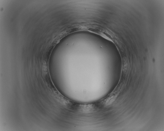 X0000073520469200608211809