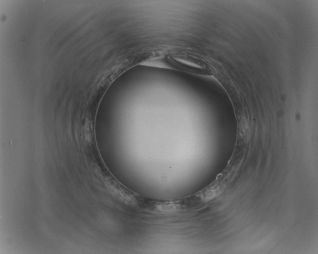 X0000073520470200608211809