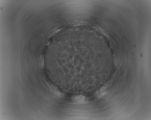 X0000073520471200608211809