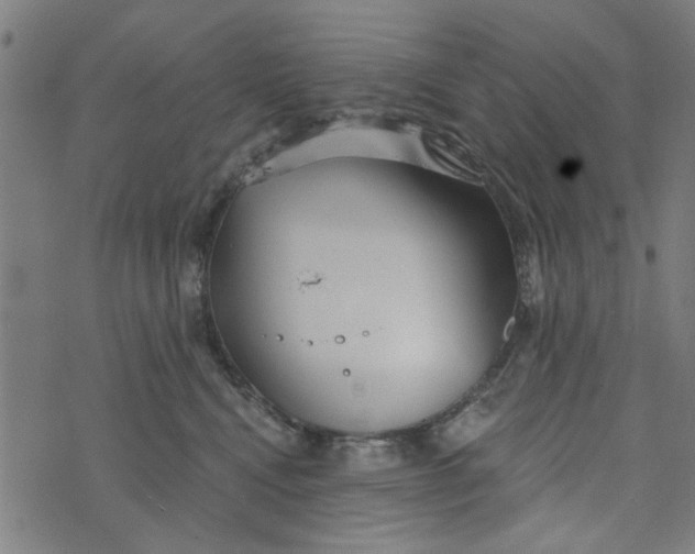 X0000073520472200608211809