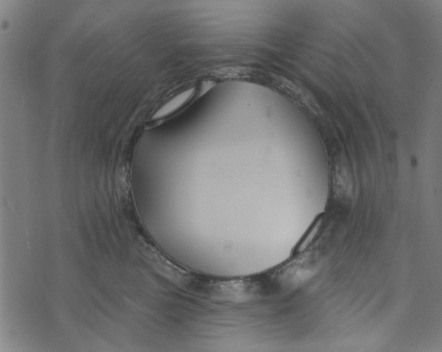 X0000073520473200608211809