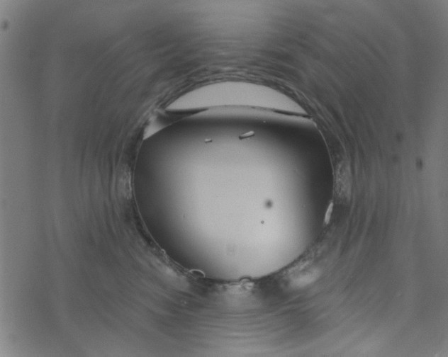 X0000073520474200608211809