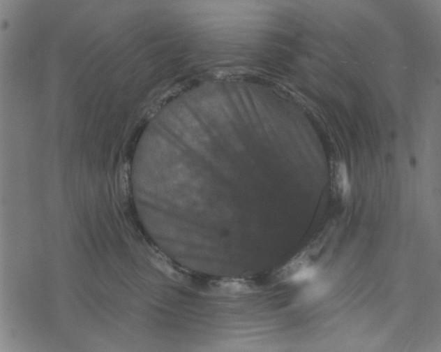 X0000073520475200608211809